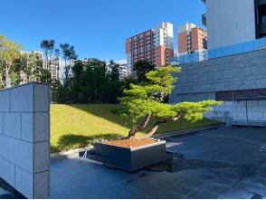 磐地支架